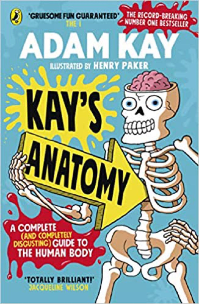 Kay's anatomy cover